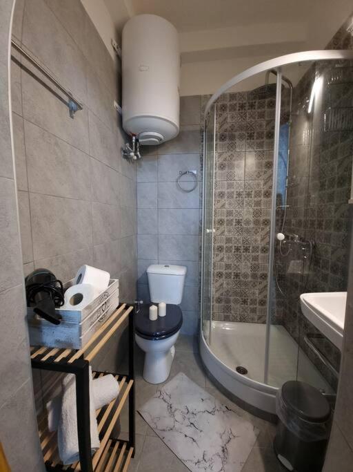 Apartment Kapsala's Family Agios Ioannis (Thessaly)